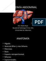 Anatomiadelabdomen 150701033627 Lva1 App6891