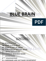 Blue Brain