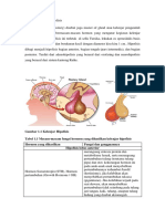 TP Adenoma