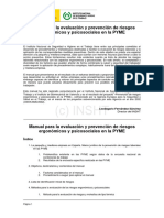 evaluacion riesgos pyme.pdf