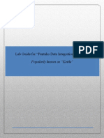 Pdi Lab Guide PDF