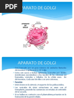 CONSTANCIA DE SOCIO.docx