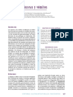 02 Nauseas y Vomitos PDF