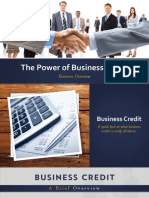 The Power of Business Credit