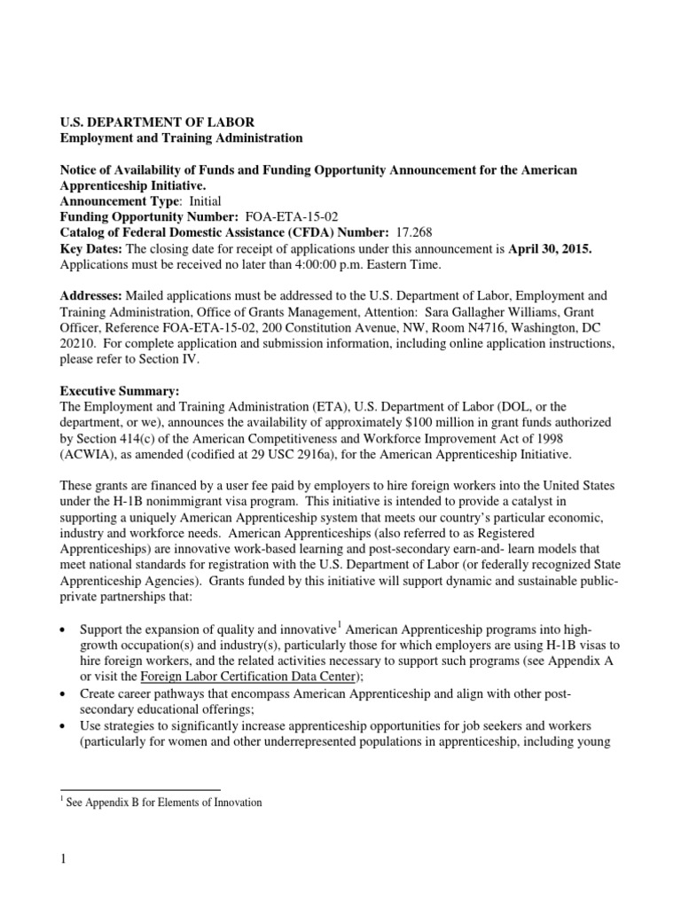06 - AmerApprenticeshipInitiative+foa Eta 15 02 | PDF | Apprenticeship ...