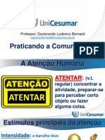 C_Slides_Tecnicas_de_Comunicacao_e_Oratoria.pdf