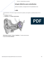 Anatomía Oído Interno.pdf
