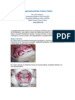 Gingivoestomatitis Cronica Felina PDF