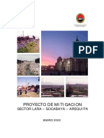 Lara Socabaya PDF