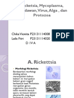 Morfologi Ricketsia, Mycoplasma, Cendawan, Virus