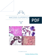 micosis superficiales DOCsub.docx