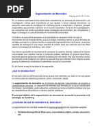 Lectura Segmentación de Mercados