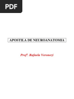 neuroanatomia-120617150242-phpapp02.pdf
