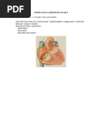 Fisiologia Cardiovascular i