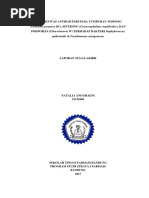 Download SKRIPSI antibakteri by natalia anggraeni SN356738804 doc pdf