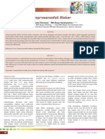 11 - 248holoprosensefali Alobar PDF