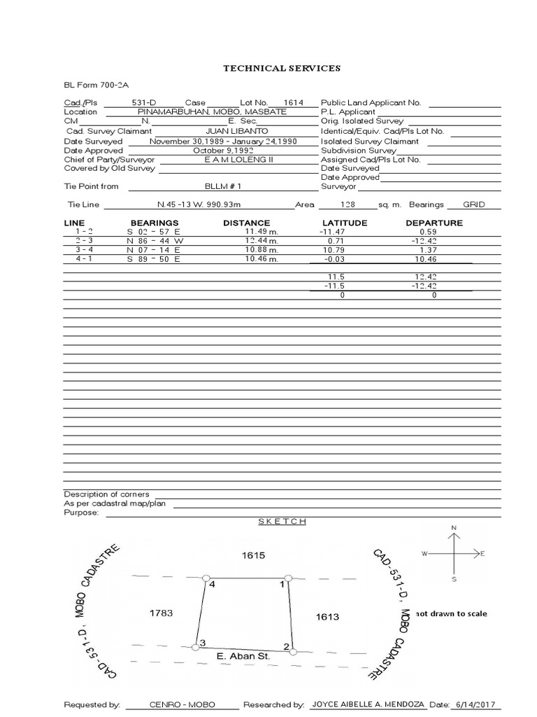 BL Form V-37: Pinamarbuhan Surveys | PDF | Surveying | Visual Journalism