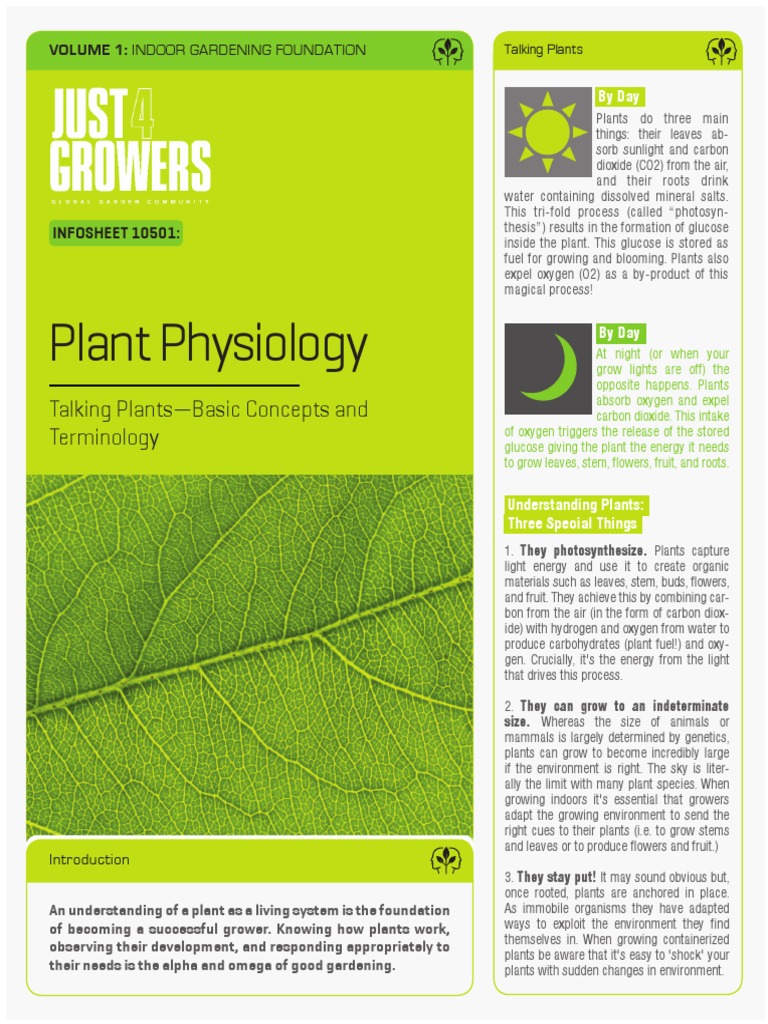 HOPKINS INTRODUCTION TO PLANT PHYSIOLOGY PDF intelligence overview