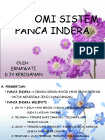 Anatomi Sistem Panca Indera