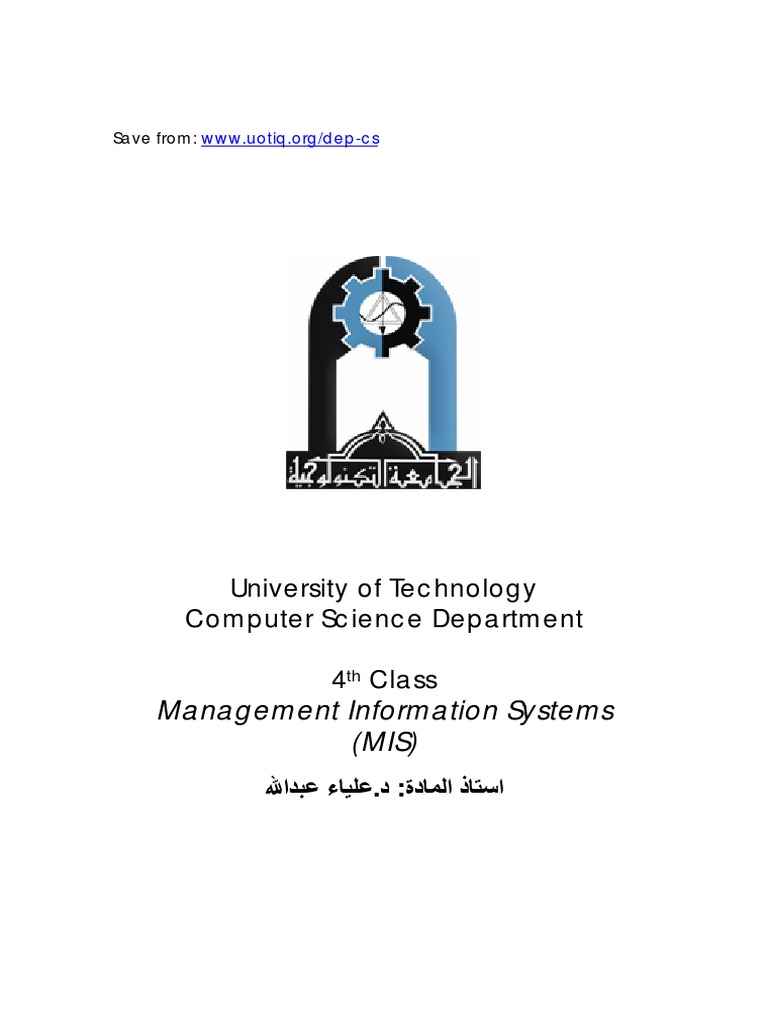 MIS Overview for Computer Science Students | PDF