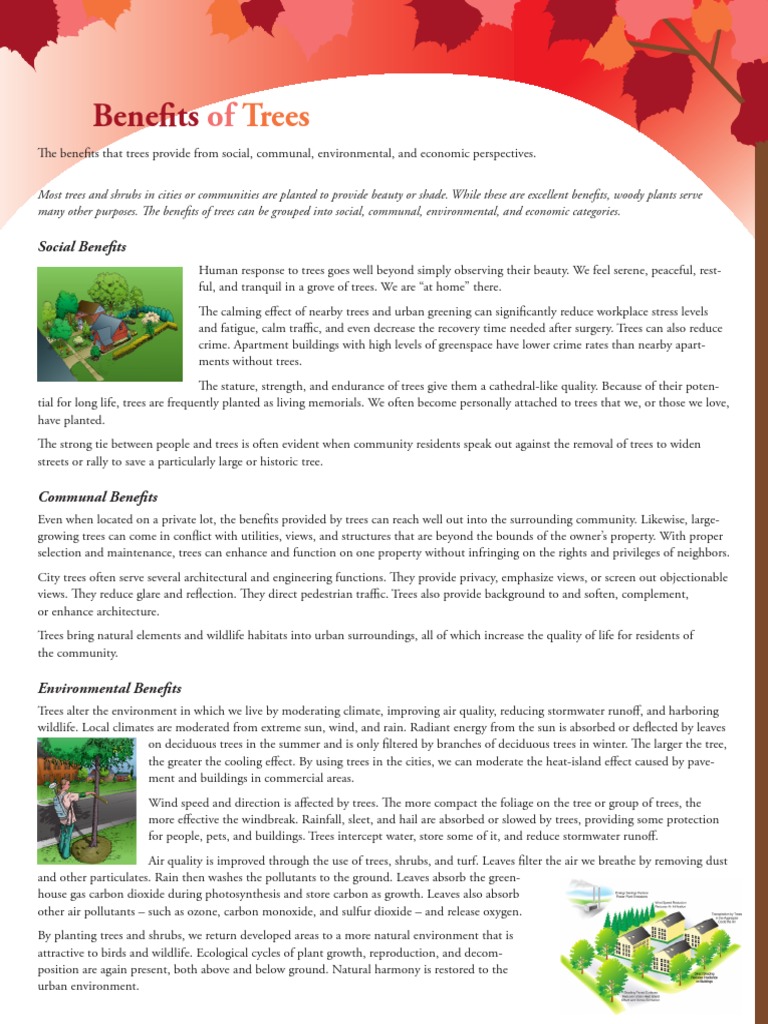 Benefits Trees | PDF | Home & Garden | Technology & Engineering