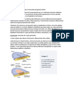 Fundamentos Biológicos 