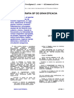 Magnetoterapia LX1146 PDF