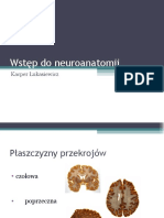 Wstęp Do Neuroanatomii - Lukasiewicz