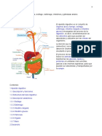 06 APARATO DIGESTIVO.doc