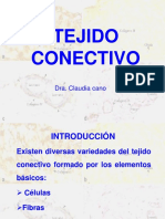 tejido-conectivo-1200295425425825-5