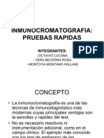 INMUNOCROMATOGRAFIA Pba Rapida PDF