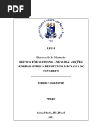 Efeitos Físicos e Pozolânicos Das Adições Minerais