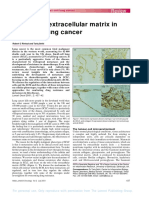 Extracel Matrix Lung CA