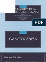 Fecundación e Implantación