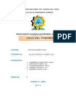 Ciclo Biogeoquimico Del Fosforo