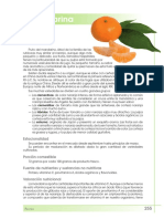Mandarina PDF