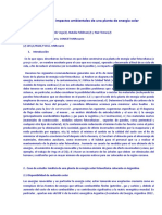 PICTO Central Fotovoltaica (Informe Impacto Ambiental y de Emisiones CO2eq)