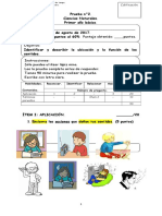 Prueba de Ciencias 1° (Viernes 25)