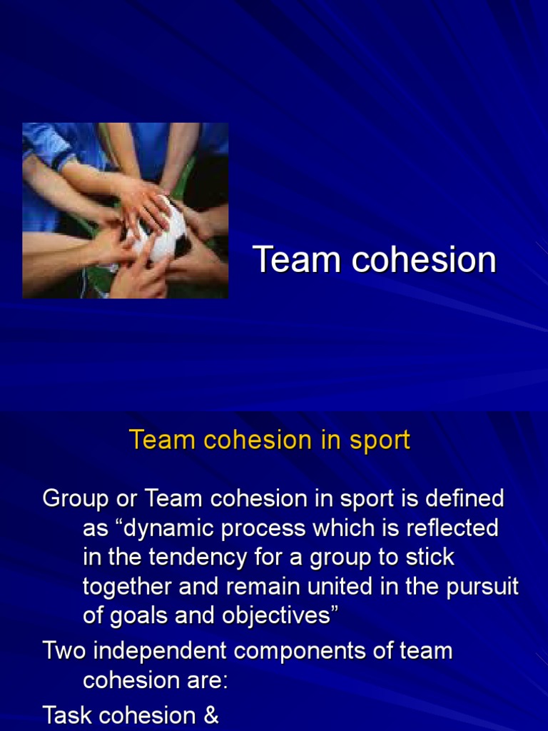 Team Cohesion
