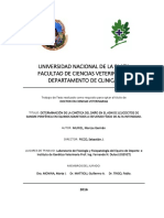 Documento Completo - PDF PDFA