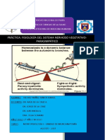 Práctica: Fisiología Del Sistema Nervioso Vegetativo-Parasimpático