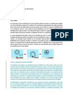 El Papel de Las Enzimas en Los Detergentes