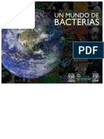 Mundo Bacterias