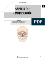 2. Anatomia