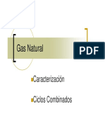 Gas Natural. 1