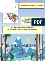 01 Conferencia Medio Ambiente Peru Impacto