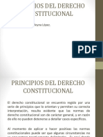 Principios Del Derecho Constitucional 2017