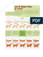 Pet Fat Chart