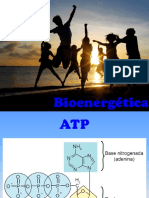 10 Respiracao e Fermentacao