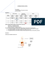 Lks 2 Sistem Pencernaan